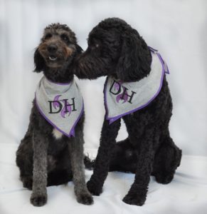 DH Plumbing Dogs with bandanas